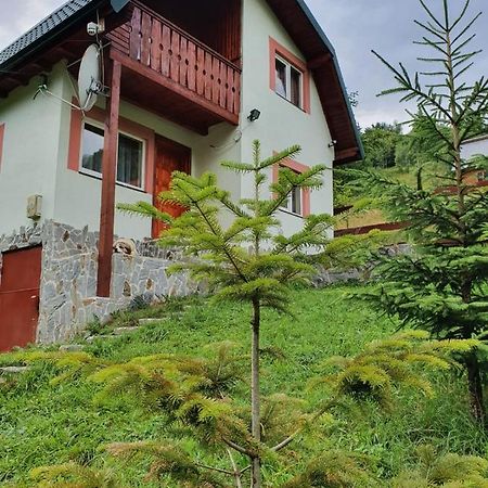 Casa Dor De Ea Villa Dîmbovicioara Eksteriør billede