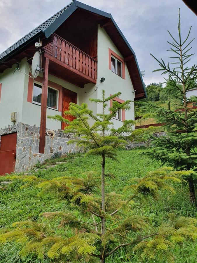 Casa Dor De Ea Villa Dîmbovicioara Eksteriør billede
