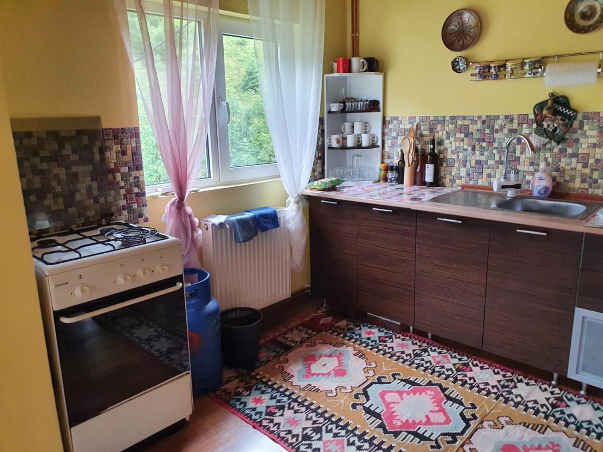 Casa Dor De Ea Villa Dîmbovicioara Eksteriør billede