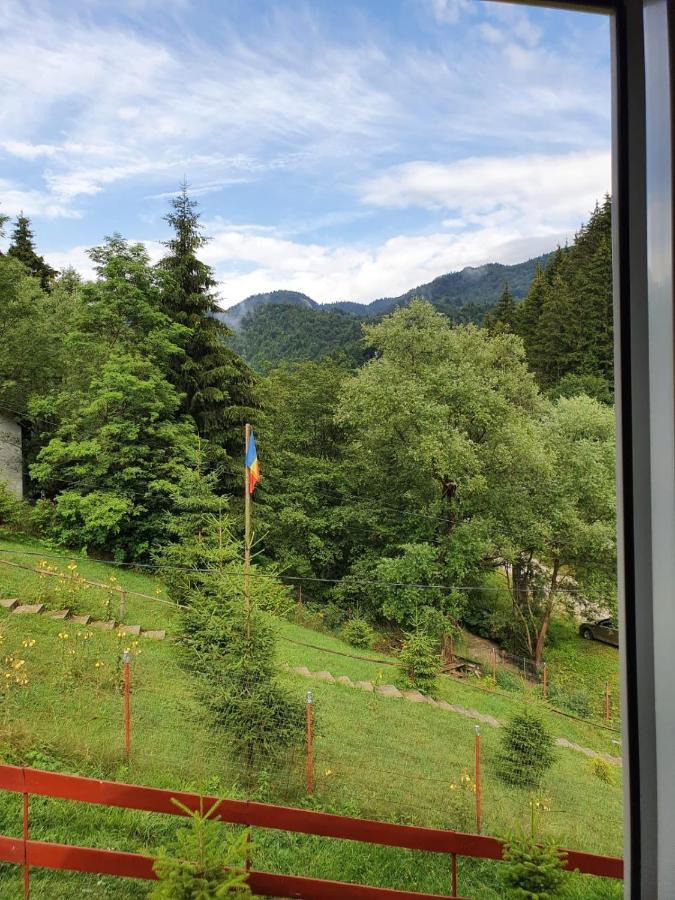 Casa Dor De Ea Villa Dîmbovicioara Eksteriør billede